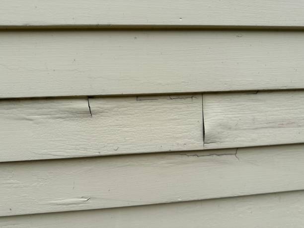 Custom Trim and Detailing for Siding in Stansberry Lake, WA